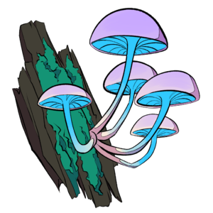 Small Mushrooms